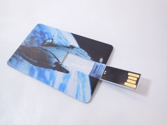 Флэш накопитель USB 4Gb В виде пластиковой карты - Pic n 270186