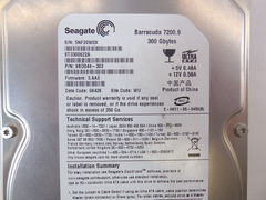 Жесткий диск 3.5 Seagate 300Gb IDE - Pic n 274079