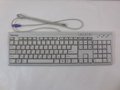 Клавиатура Chicony KB-9810 Beige PS/2 - Pic n 274787