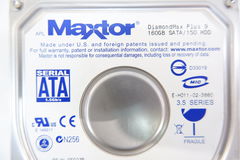HDD SATA Maxtor DiamondMAX Plus 9 6Y160M0 (160GB) - Pic n 283074