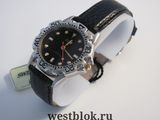Часы наручные Swiss+ skier - Pic n 41547