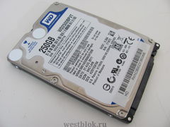 Жесткий диск 2,5" Western Digital 250Gb SATA - Pic n 50899